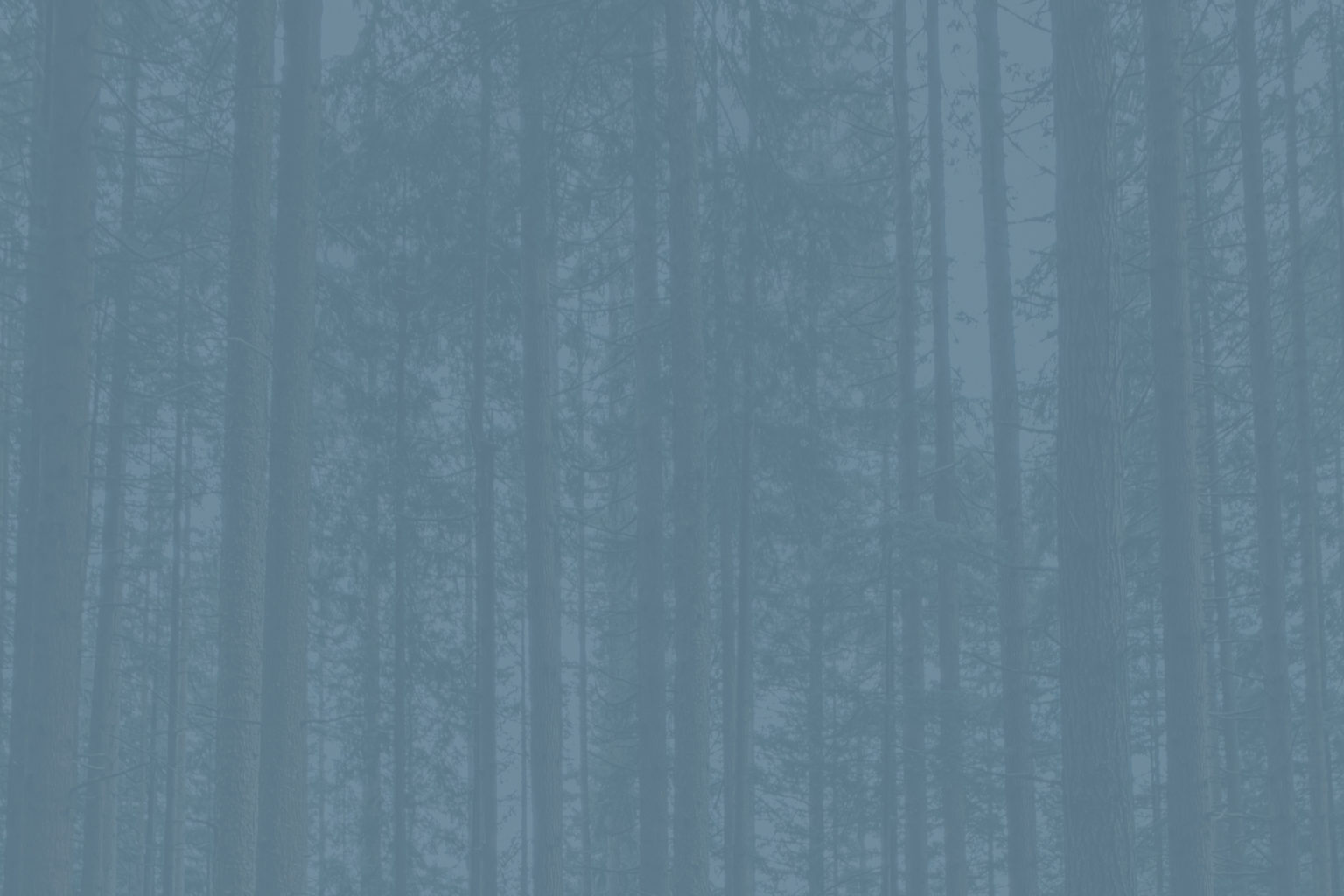 About Pineview Baptist Church